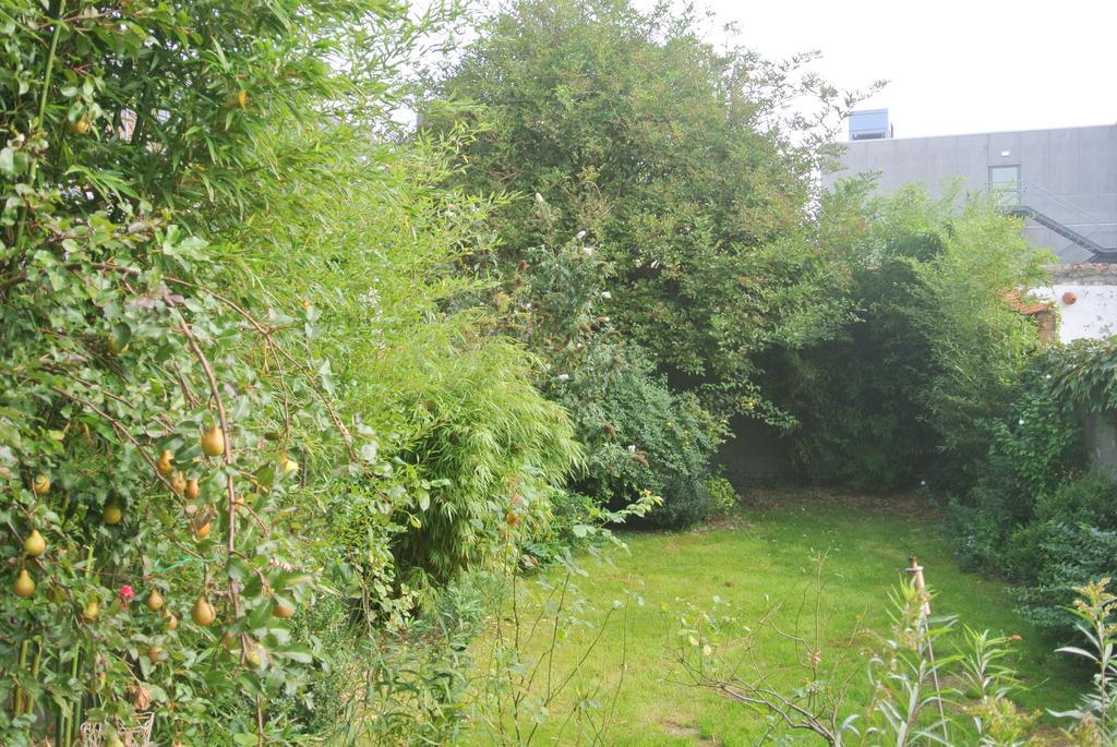 B&B Azee Oostende Exteriör bild